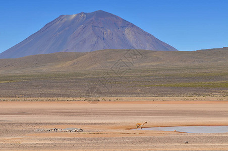 秘鲁埃尔米斯蒂火山萨利纳斯和阿瓜达布兰高清图片
