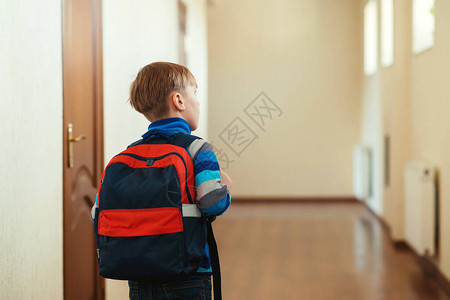 可爱的男孩背着包去上课回到学校小学生在学校礼堂图片