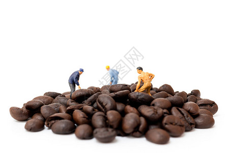 咖啡豆和迷你小人图片