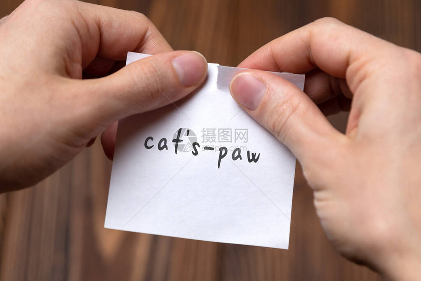 取消猫爪用手写题字撕纸的手图片