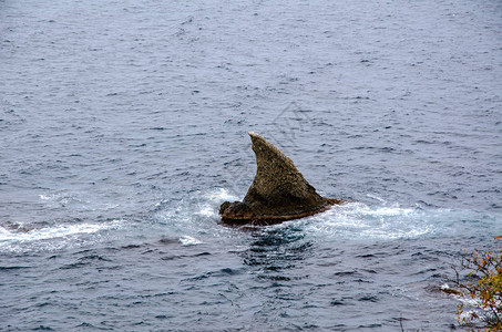 以鲨鱼鳍的形式在海面上涌出尖锐的岩石图片