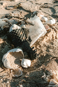 沙滩上的塑料污染和垃圾海洋的塑料污染概念图片
