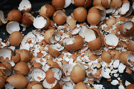 黑色背景上的许多蛋壳图片