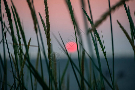 圣彼得奥尔丁沙丘中的日落图片