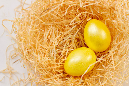 树片巢中复活节的金蛋顶视图背景图片