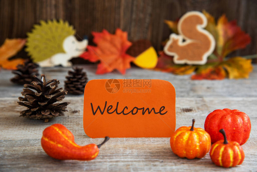 橙色标签与英文本欢迎欢迎秋天装饰如南瓜图片