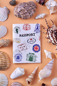 印有邮票和各种贝壳的护照按图片