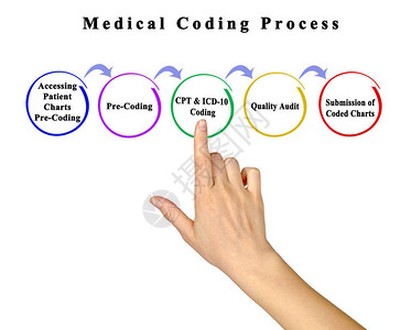 医疗编码过程的组成部分图片
