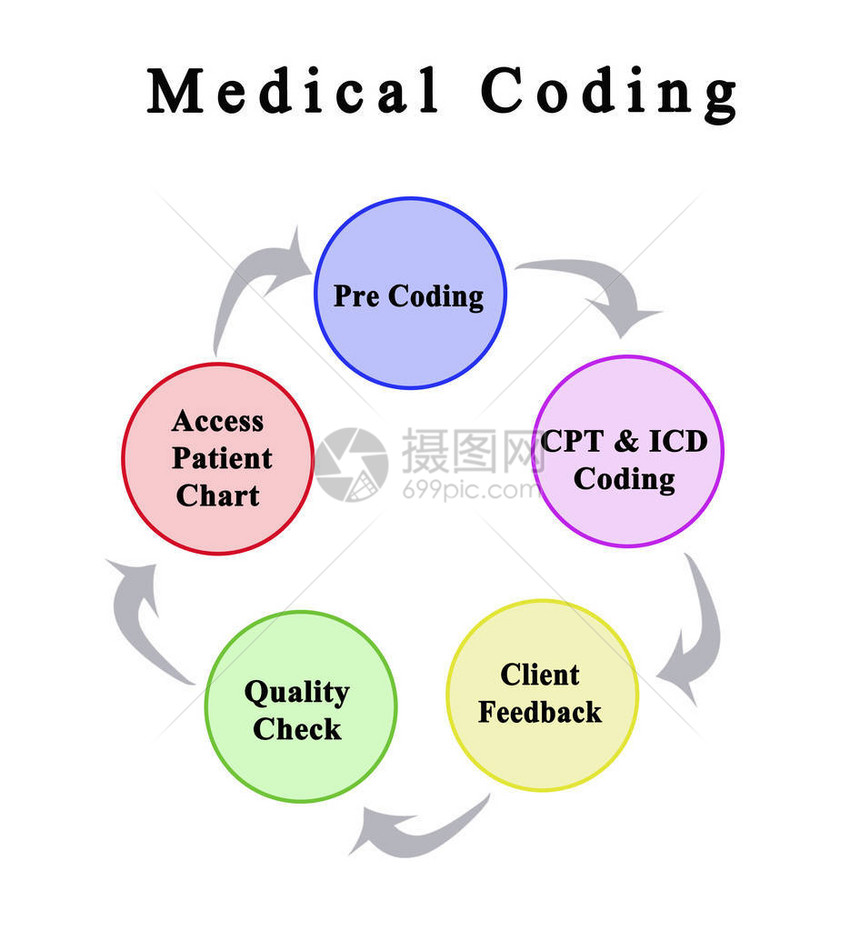 医学编码的五个组成部分图片