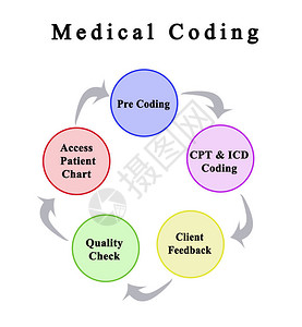 医学编码的五个组成部分背景图片
