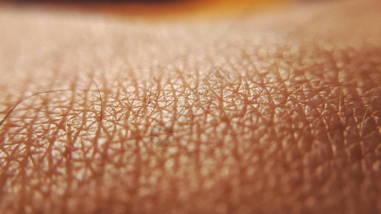 硬笔纹身素材围网的粉红健康人类皮质上美容素材背景