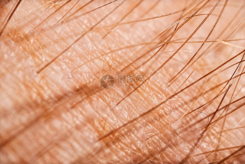 人类皮肤详细宏观照片详细纹理图片