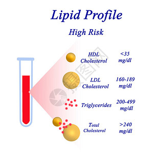 脂质谱的四个组成部分图片