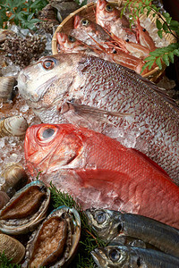 什锦食用日本海鲜图片