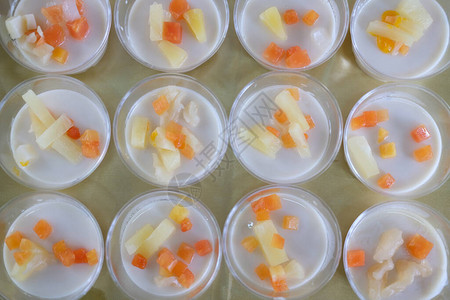大豆奶布丁和塑料杯中的水果素食用素图片