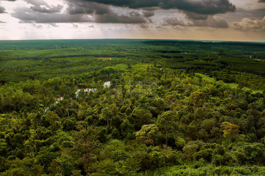 从泰国BuengKhan的PhuSing一侧的美丽景色望着一片热带树木的森林图片