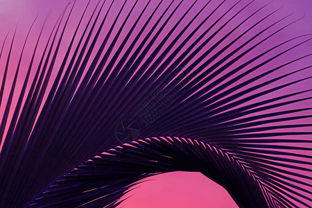 紫色粉红背景上流行艺术风格深蓝图片