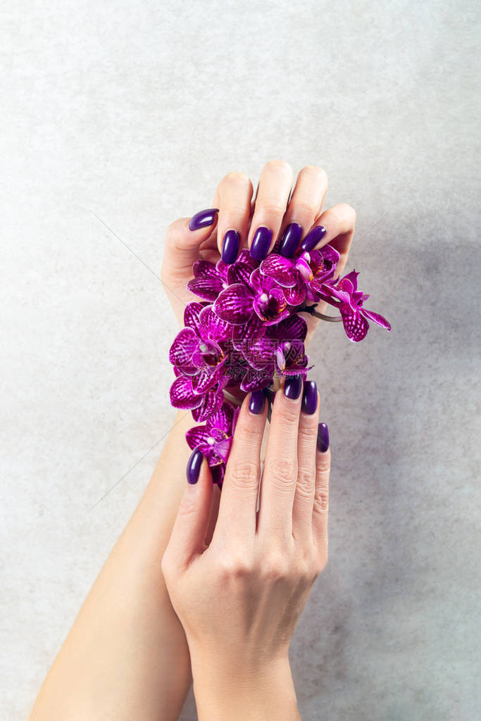 时流行的紫色女指甲女图片