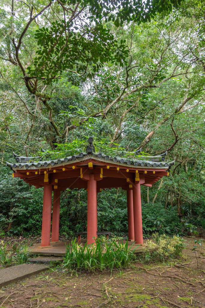 在佛教寺庙拜约多的花园里图片