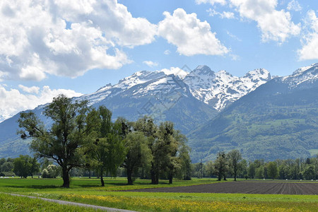 瓦因塔格列支敦士登的FaszinierendeBerglan背景