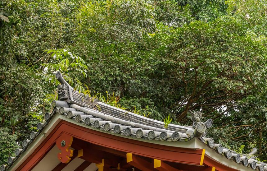 佛寺拜约多红束之上的灰屋顶装饰品Gree图片