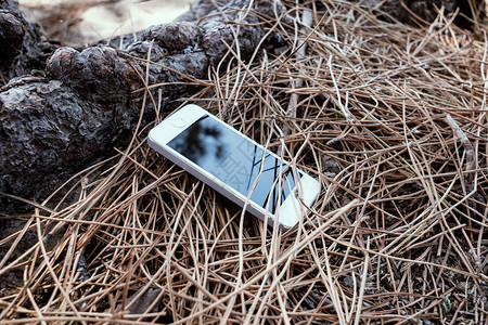 智能手机在森林中丢失被遗图片