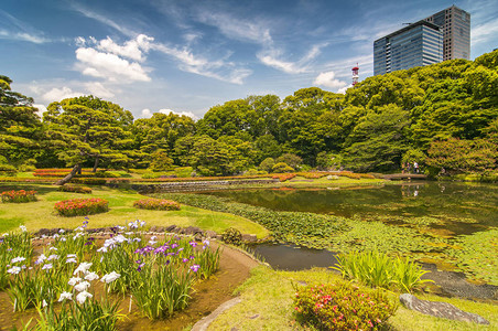 日本东京皇宫公园内的花园图片