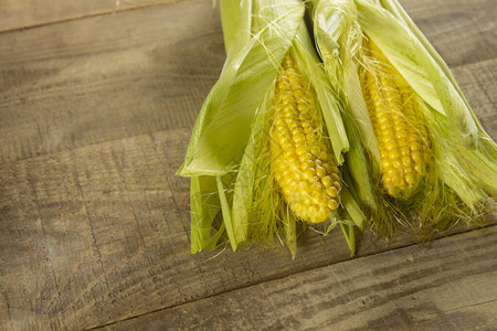 美味的玉米玉米背景的照片新鲜的年轻甜玉米棒子图片