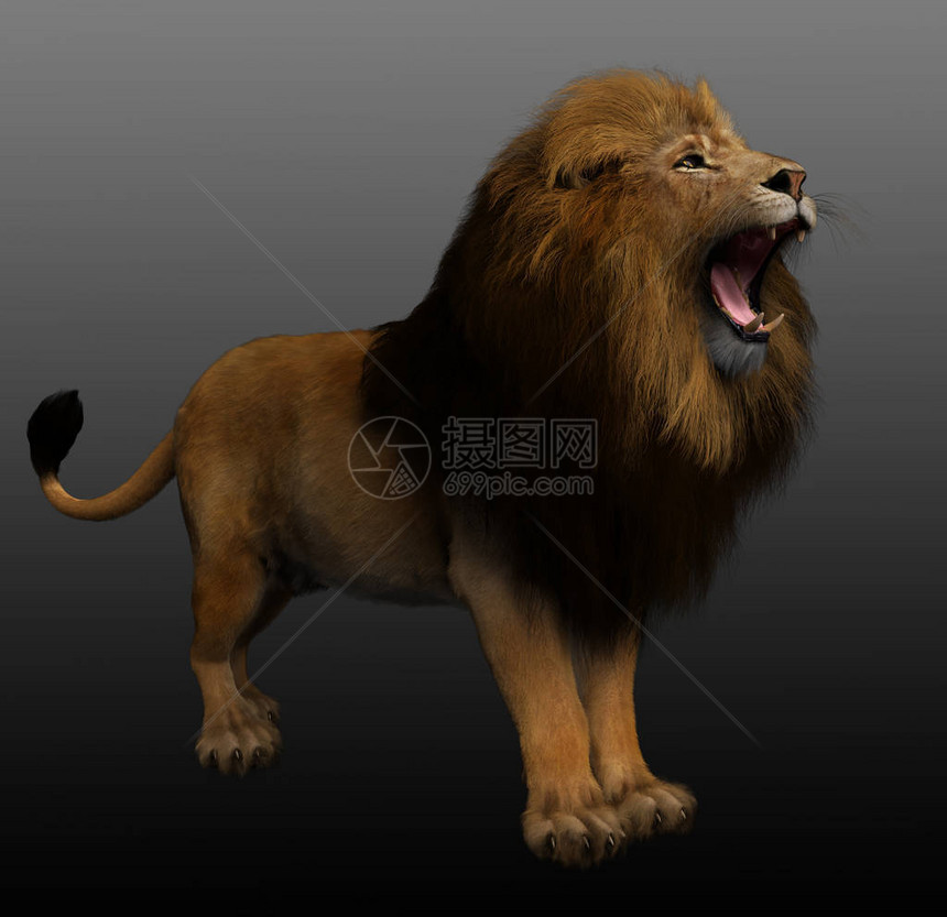 CGI咆哮的金狮图片