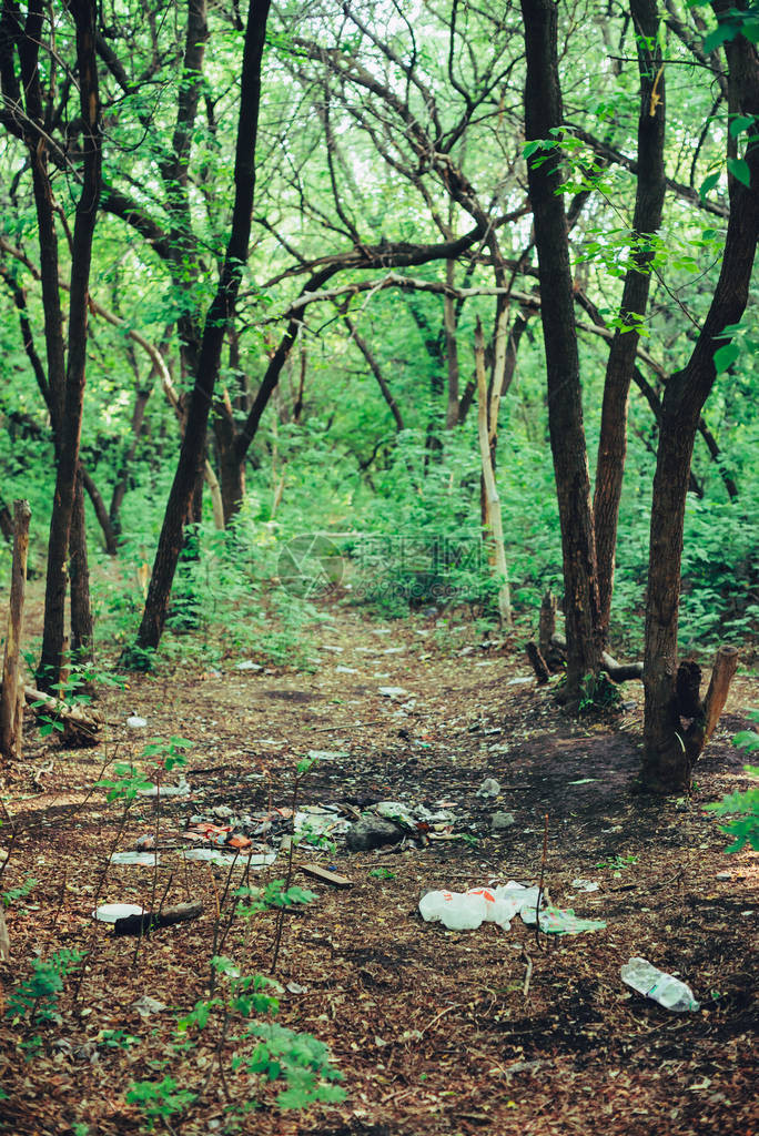 垃圾堆在植物之间的森林里有毒塑料无处不在公园内植被间的垃圾堆被污染的土壤环境污染生态问题图片