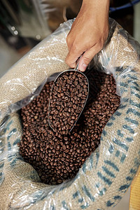 男子用勺子从工厂生产的咖啡袋中取出新鲜烘焙咖啡豆进图片