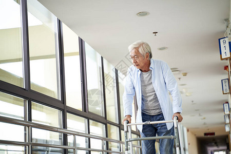 在疗养院走廊使用行走器在困难中徒步走路图片