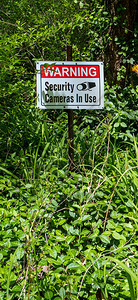安全摄像头在USE的标志在葡萄图片