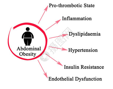 腹型肥胖的六大危害背景图片