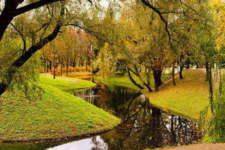 俄罗斯圣彼得堡市的秋季公园图片