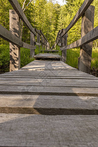 穿过沼泽的木脚桥带图片