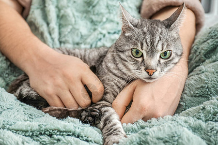 有主人在家的可爱猫咪图片