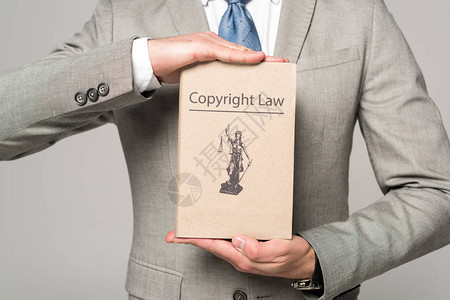 律师持有书籍版权法书名图片