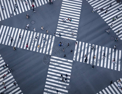 横过街口的人行走标志城市交背景图片