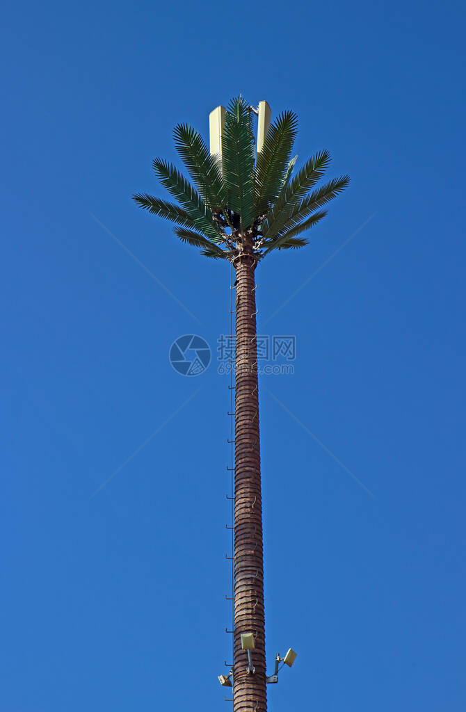 用于移动电话无线计算机网络和其他无线通信的电信塔或伪装成摩洛哥枣椰树的图片
