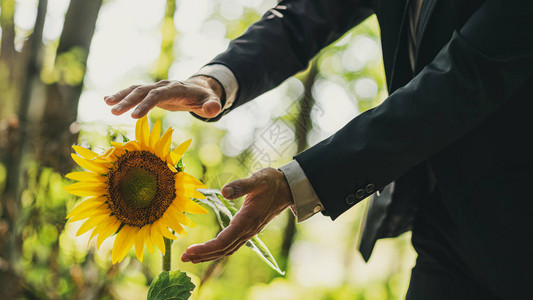 穿着西装的人举起手来保护他在森林里生长的美丽的花朵周围图片
