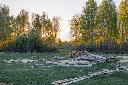 木头躺在乡间的草地上背景是春天的森林日落图片