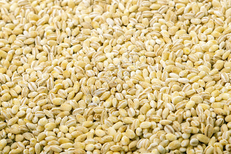 干珍珠大麦谷物种子特写纹理背景顶视图图片