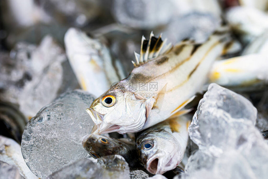 鱼泰国村民的小当地食物图片