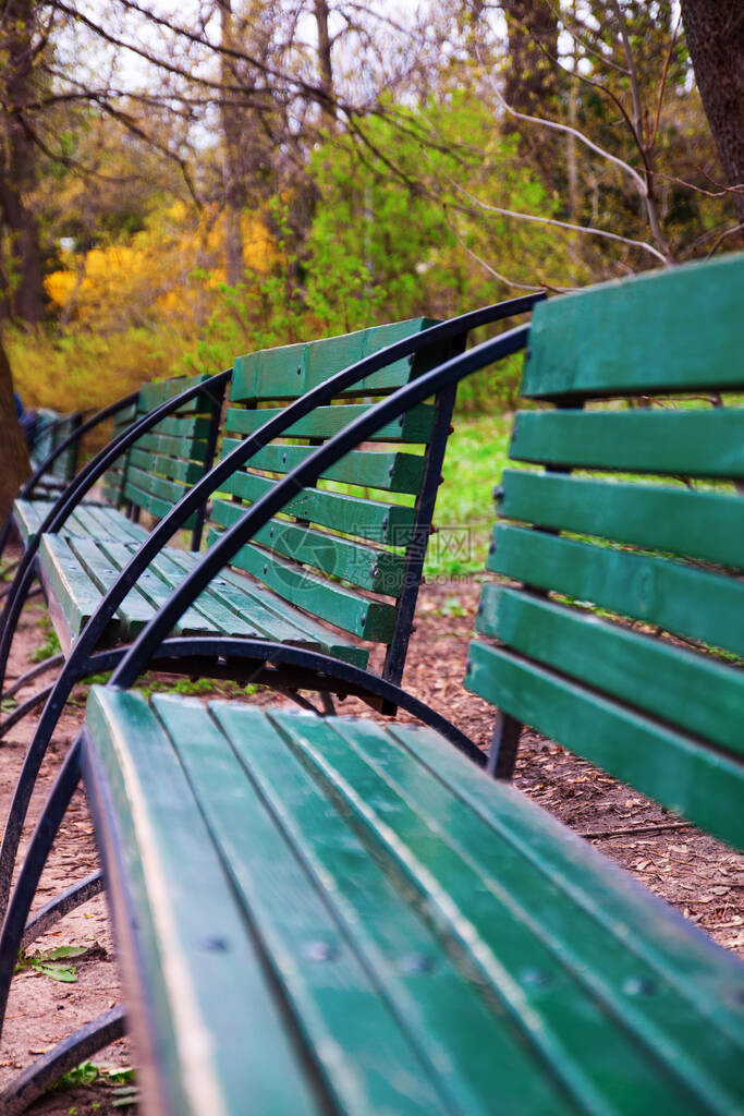 秋天黄色城市公园的绿色木板椅在乌克兰基辅图片