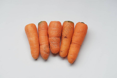婴儿胡萝卜是一种胡萝卜在成熟前以图片