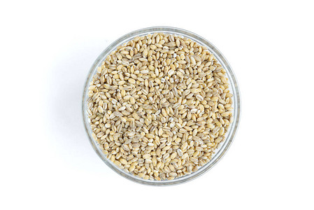珍珠大麦在白色背景图片