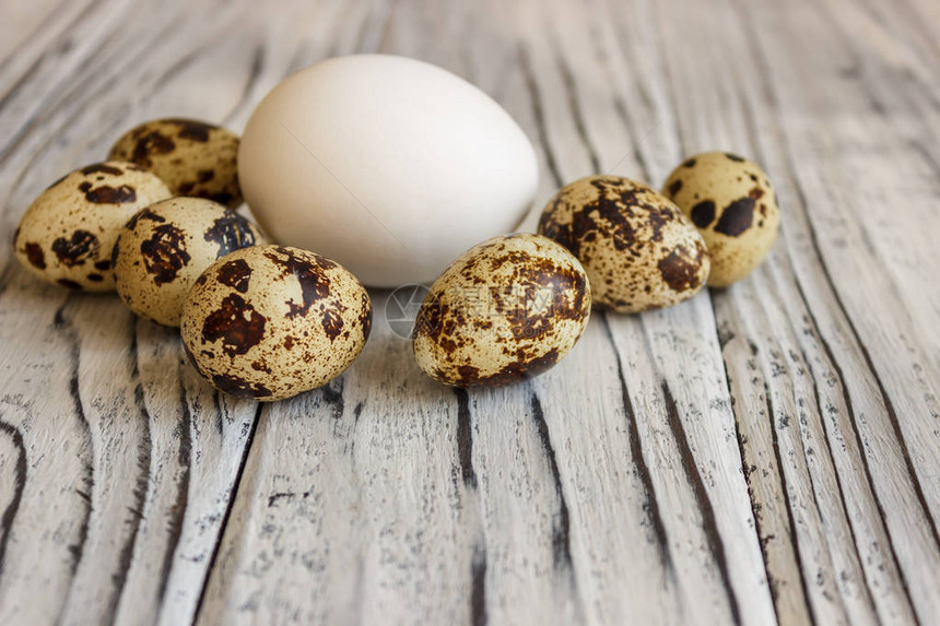 木桌上的鸡蛋是复活节季的象图片