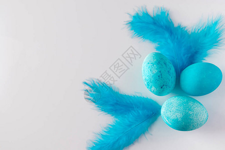 美丽的青蓝东边鸡蛋和羽毛在浅色背景上设计时的喜好成分图片