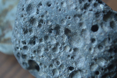 海卵石和贝壳特写图片